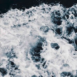 Meet your Posher, Daisy